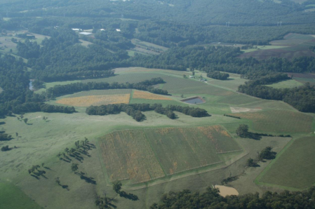 836英亩葡萄园+酒庄出售,11个产权(雅拉河谷),1500万澳元