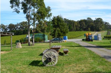 836英亩葡萄园+酒庄出售,11个产权(雅拉河谷),1500万澳元